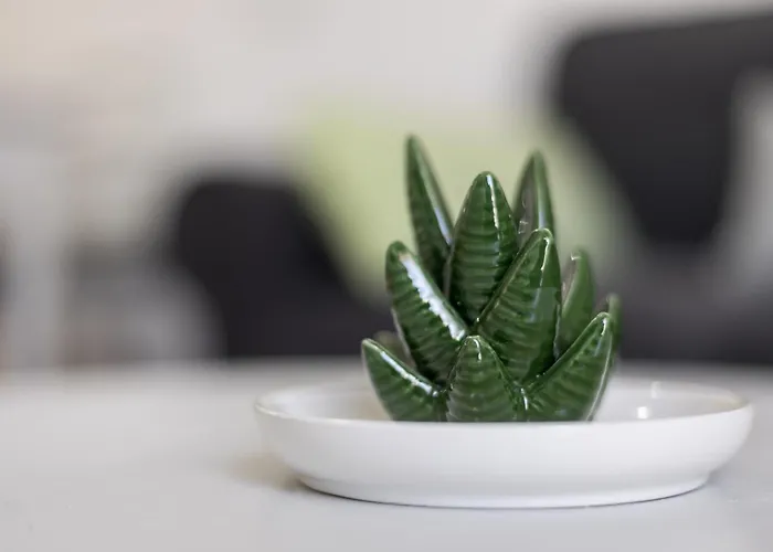 Home2book Cozy Beachfront Getaway In Апартаменты *